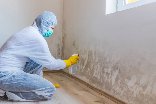 Licensed Crawl Space Mold Removal service in Montclair, VA - WQB Mold Removal