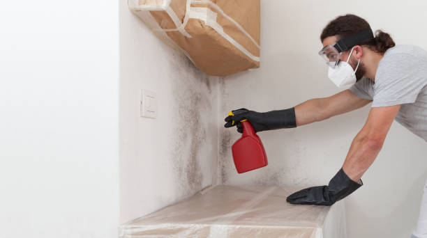 Professional Crawl Space Mold Removal technician working in Montclair, VA