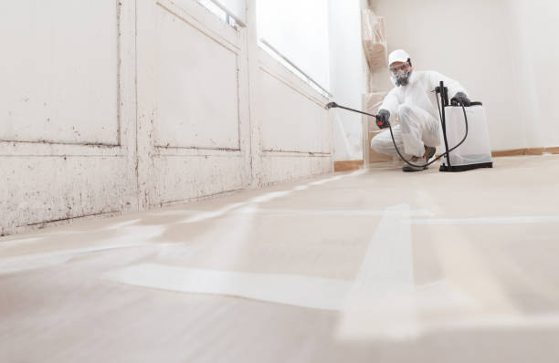 24/7 Emergency Crawl Space Mold Removal experts in Montclair, VA