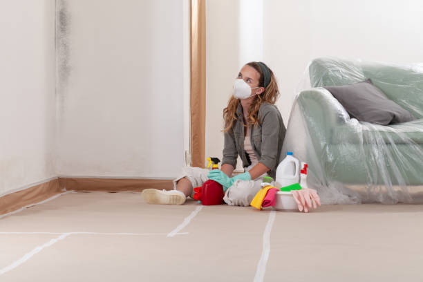 Reliable Crawl Space Mold Removal contractor in Montclair, VA by WQB Mold Removal
