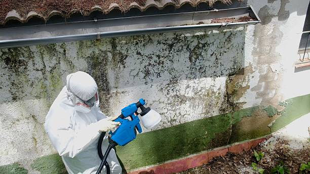 Top rated local Crawl Space Mold Removal specialists in Montclair, VA